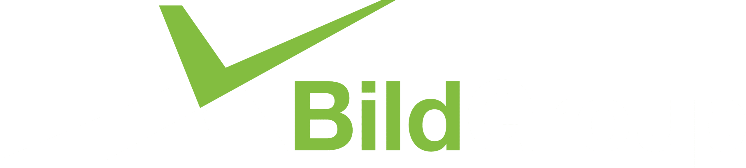 BildGroup-REV-logo